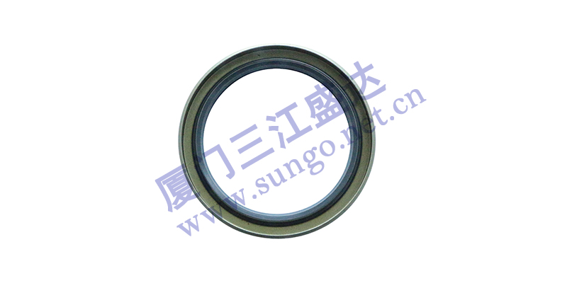 影響油封正常運(yùn)轉(zhuǎn)的因素有哪些？